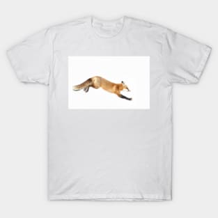 Red Fox Pounce - Algonquin Park T-Shirt